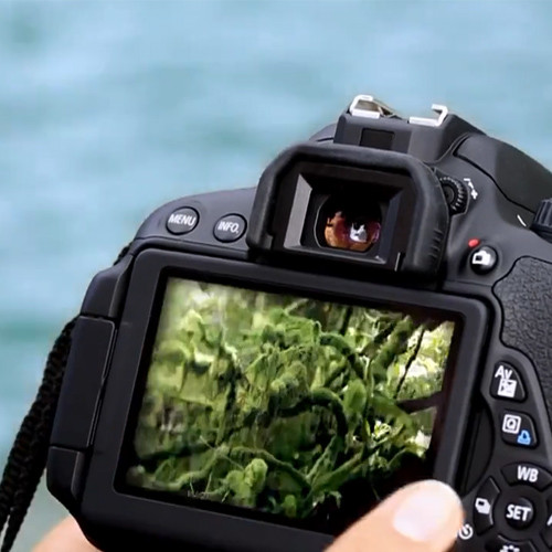 กรณี บริษัท ล่าสุดเกี่ยวกับ 2.4 นิ้ว แสงแดดสามารถอ่านจอสัมผัส สําหรับกล้อง SLR
